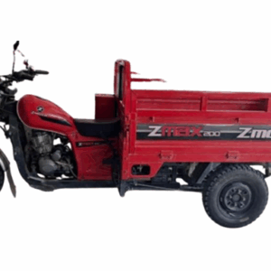 Z MOTO ZMAX200 2024